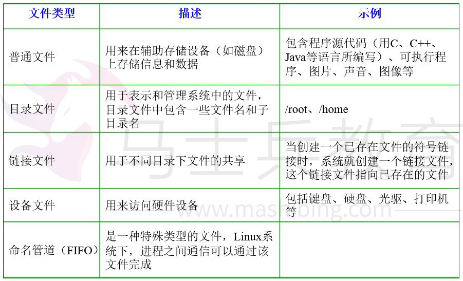文件类型