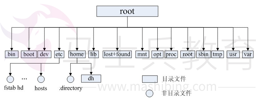 Linux的目录结构