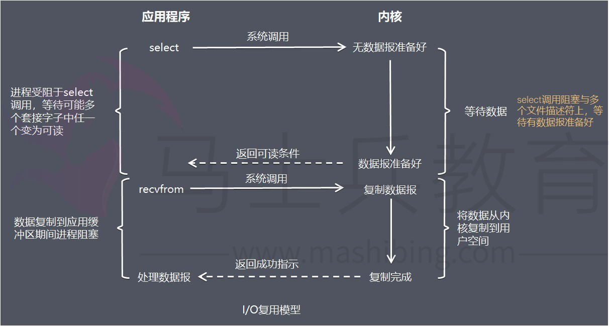 IO复用模型