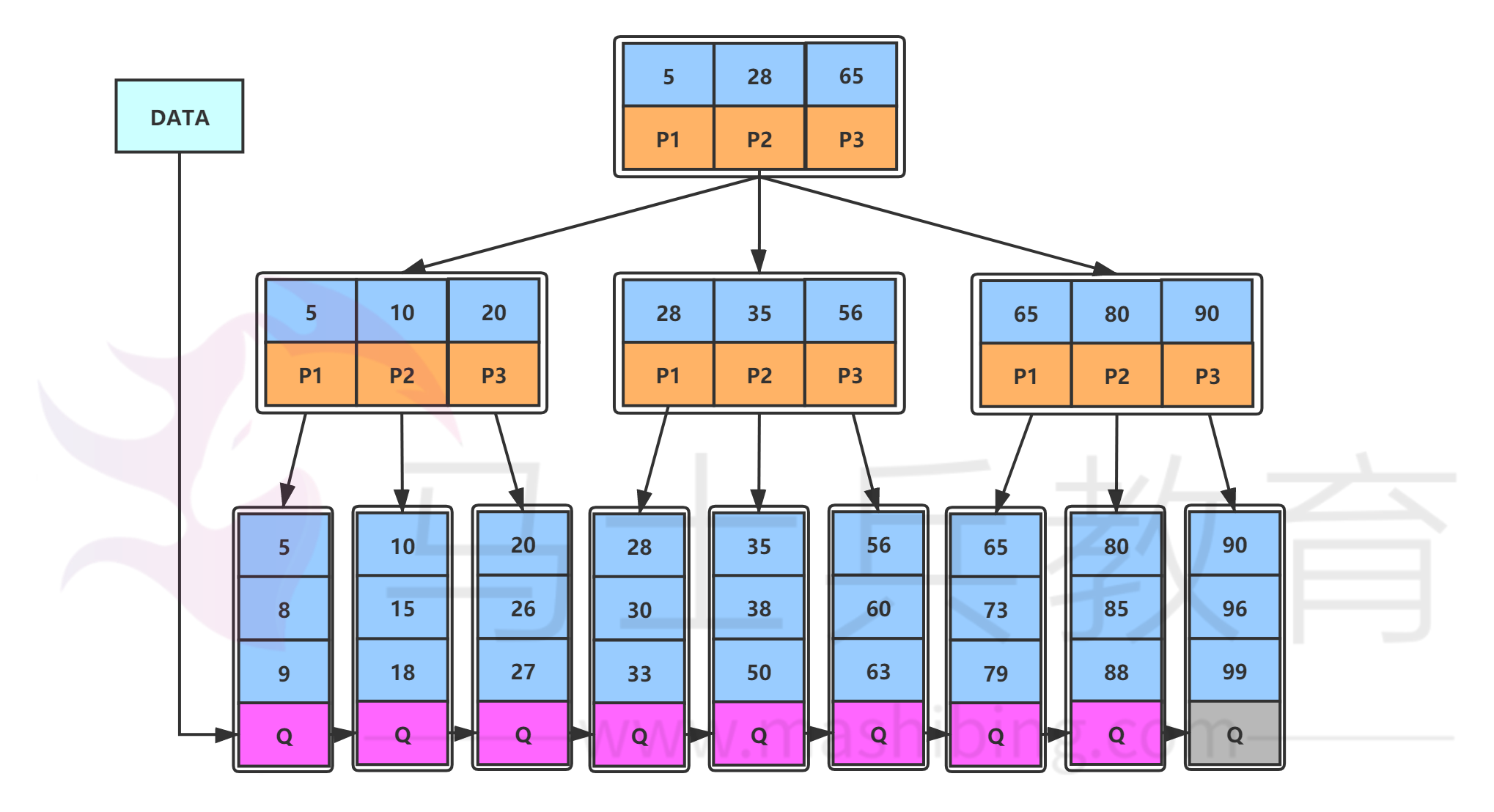 B+树